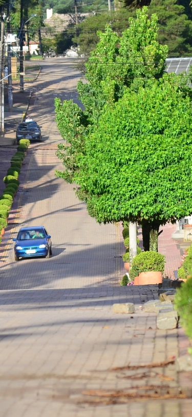 Imagem de Monte Verde